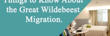 Things to Know About the Great Wildebeest Migration